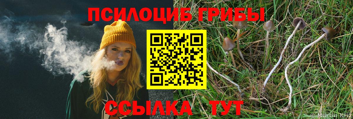 где купить наркоту  Галлюциногенные грибы мухоморы  Вход с VPN  Богородск 