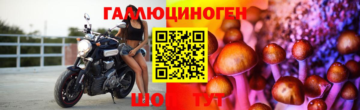 Галлюциногенные грибы мухоморы Богородск
